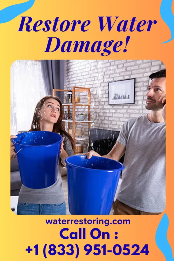 water restoration Ironclad Water Cleanup Team Chester