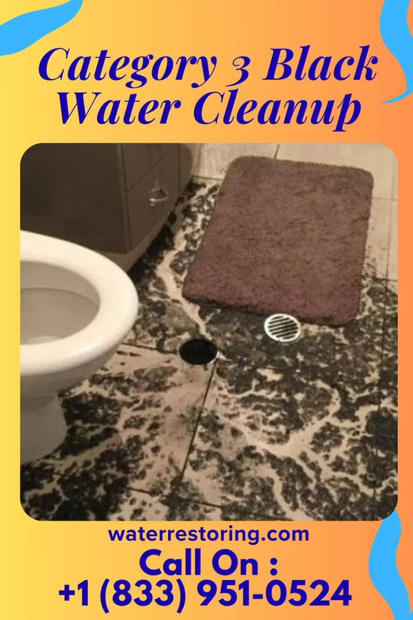 Category 3 Black Water Cleanup in Chester, IL