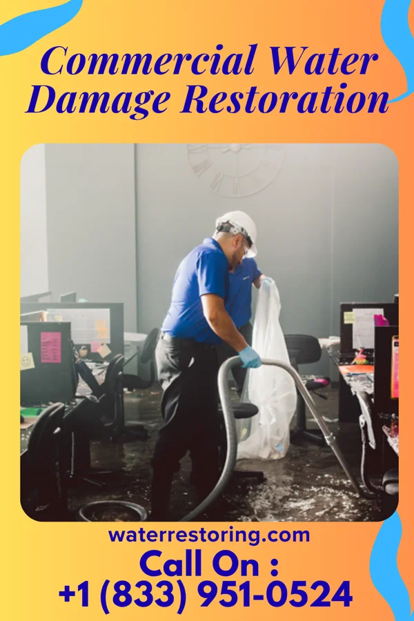 Commercial Water Damage Restoration in Chester, IL